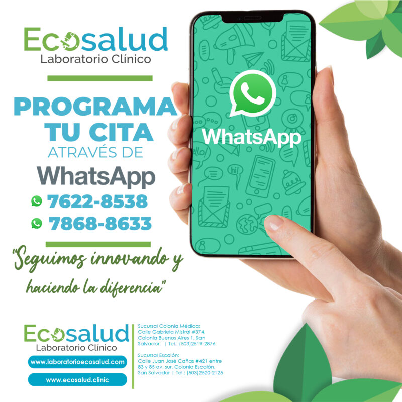 Flujo 1: Citas por WhatsApp (el flujo que más dinero ahorra)